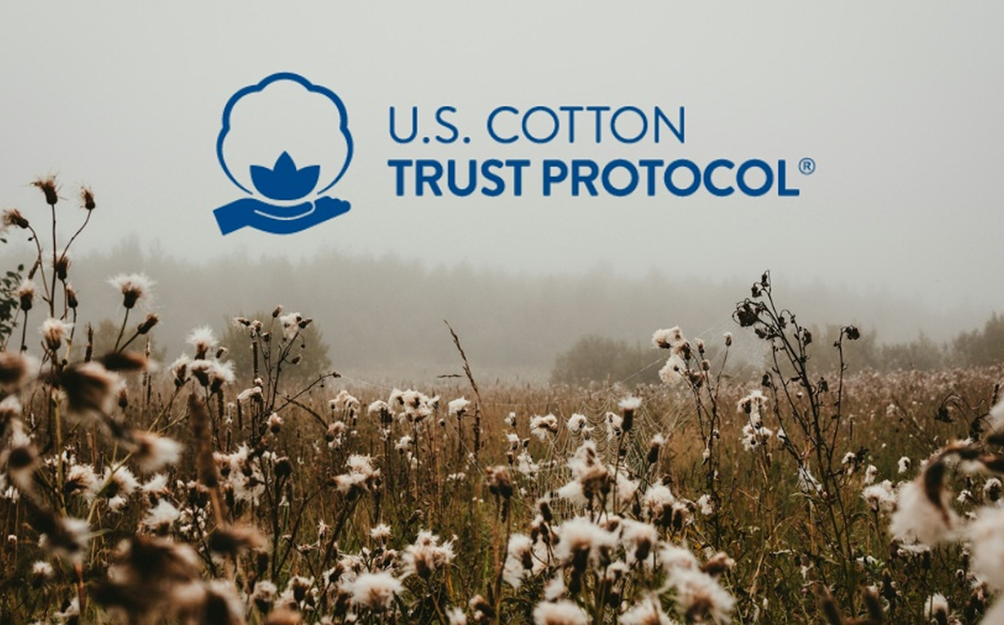 More Than a Certification: The Benefits of the U.S. Cotton Trust Protocol for Textile Mills